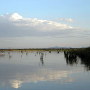 Lake Baringo