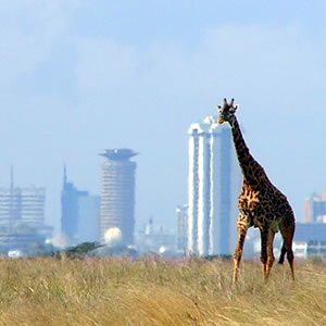 Nairobi Tours