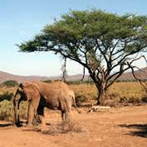 Samburu National Park