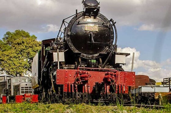 Kenya Railway Museum, KICC, Nairobi Animal Orphanage, and Lunch at the Carnivore