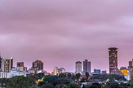 Nairobi Walking City Tour with a Local Guide