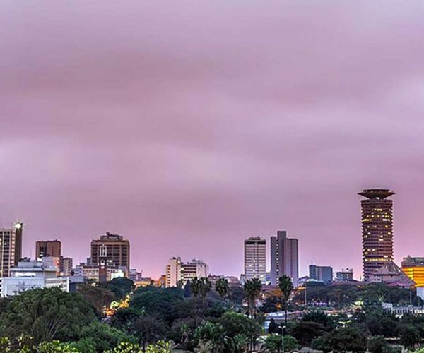 Nairobi Walking City Tour with a Local Guide