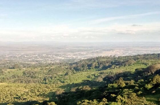 Ngong Forest Sanctuary and Animal Orphanage Tour