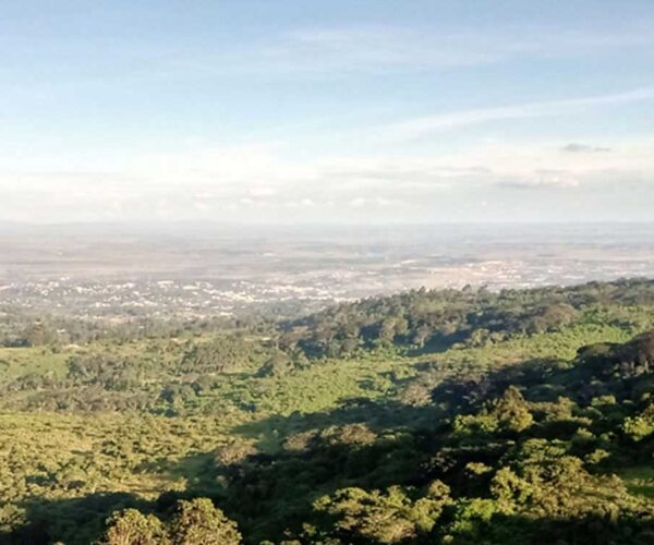 Ngong Forest Sanctuary and Animal Orphanage Tour