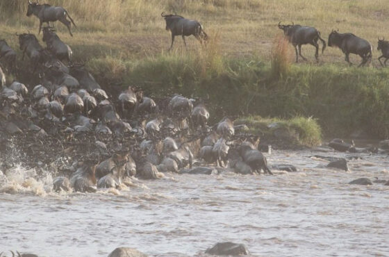 What is so special about the Ngorongoro Crater?