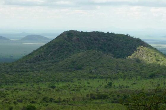 4 Days Amboseli/Tsavo & Taita Hills